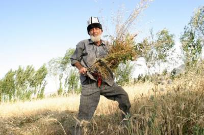 Изменение климата ведет к сокращению вегетационного периода в Центральной Азии – исследование