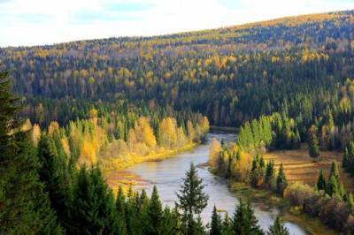 В Пермском крае нейросеть следит за 12,4 млн га леса, предупреждая о возгораниях и незаконной вырубке