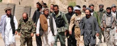 Афганские войска убили теневого губернатора талибов