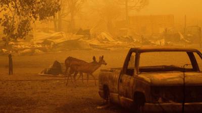 США: Пожар "Дикси" распространился на новые территории
