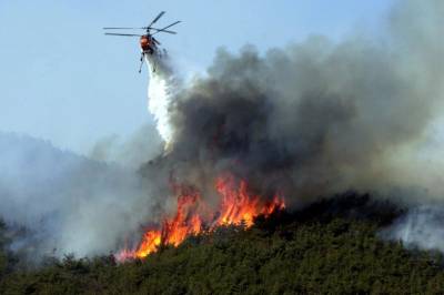 Казахстан направил вертолеты и спасателей в Турцию для тушения лесных пожаров