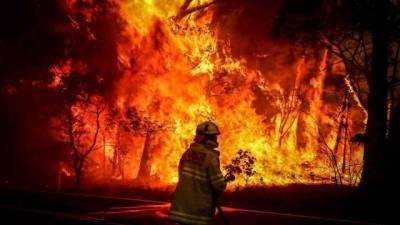 В Греции свирепствуют лесные пожары, тысячи жителей и туристов эвакуированы