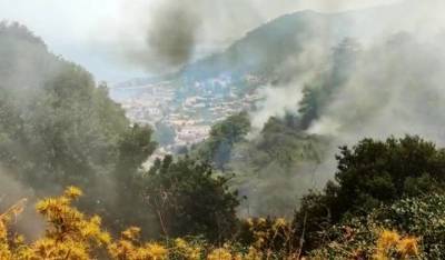 Страшные кадры лесных пожаров в Греции появились в Сети