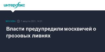 Власти предупредили москвичей о грозовых ливнях