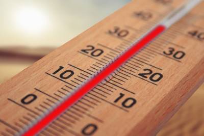 8 августа на территории Рязанской области установится 34-градусная жара