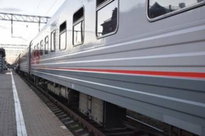 СК возбудил уголовное дело по факту отравления детей в поезде «Мурманск – Адлер» – Учительская газета