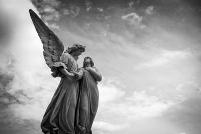 Мэрия Рязани объявила новый тендер о постройке кладбища