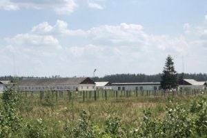 В Беларуси строят концлагерь для политзаключенных, – СМИ