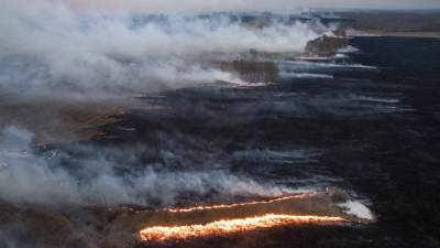 В Красноярске ввели режим «чёрного неба» из-за лесных пожаров