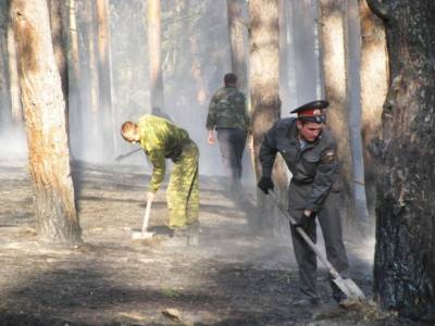 Лесной пожар вспыхнул на военном полигоне под Москвой