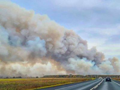 На территории подмосковного полигона начался пожар