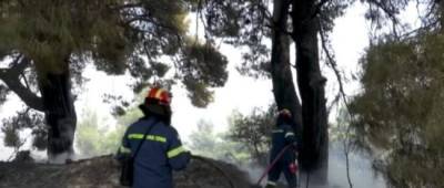 Пожары в Греции вышли из-под контроля, началась массовая эвакуация