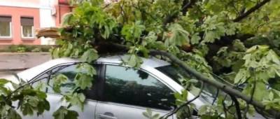 Полтавскую область накрыл разрушительный ураган: видео