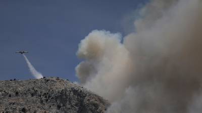 Экстренные службы пытаются спасти Афины от лесных пожаров