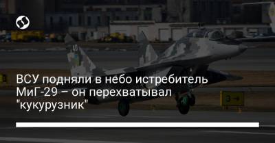 ВСУ подняли в небо истребитель МиГ-29 – он перехватывал "кукурузник"