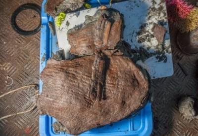 В Египте археологи нашли корзину с фруктами возрастом 2400 лет
