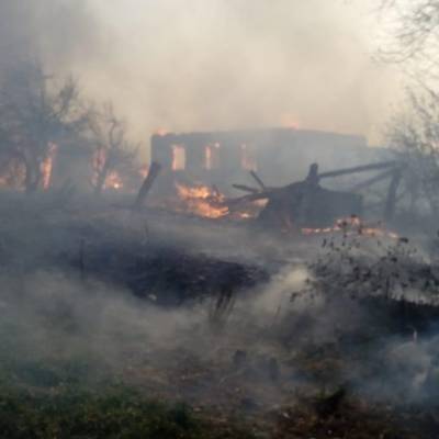Пожар в Мордовском заповеднике имени Смидовича