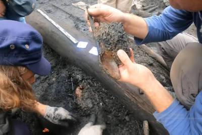 В Старой Руссе раскопали наконечники копий и стрел XIII века