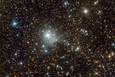 Туманность в созвездии Лебедя запечатлел псковский астроном-любитель