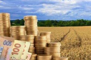 Украинцам напомнили о земельных налогах: кому не придется платить