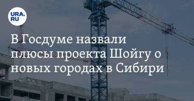 В Госдуме назвали плюсы проекта Шойгу о новых городах в Сибири