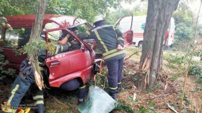 В Одесской области легковушка врезалась в дерево: пассажиров и водителя доставали спасатели