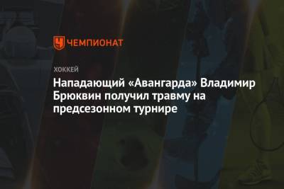 Нападающий «Авангарда» Владимир Брюквин получил травму на предсезонном турнире