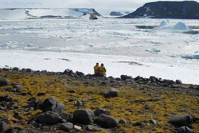 Около двух тысяч заявок поступило на получение бесплатного "арктического гектара"
