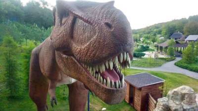 Крупнейший в Украине парк динозавров '' Dino Sofia Park '' открылся на Черкасчине