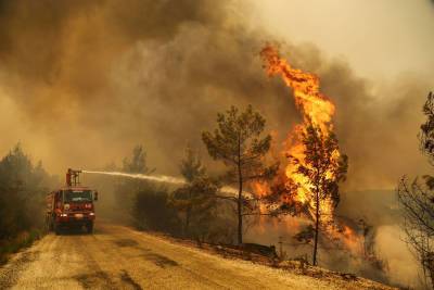 В Турции дождь помог в борьбе с лесными пожарами