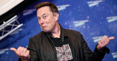 Илон Маск - Илоном Маский - Вместо астронавтов: SpaceX хочет нанять в штат "космического" бармена - focus.ua - Украина