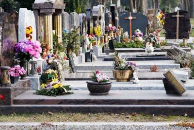 В Смольном найдут желающих привести в порядок петербургские кладбища