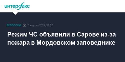 Режим ЧС объявили в Сарове из-за пожара в Мордовском заповеднике