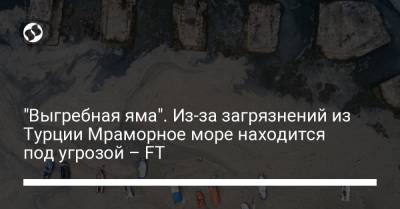 "Выгребная яма". Из-за загрязнений из Турции Мраморное море находится под угрозой – FT