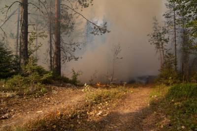 Режим ЧС введен в Сарове из-за пришедшего из Мордовии лесного пожара
