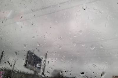 В воскресенье Петербург снова накроют дождевые тучи