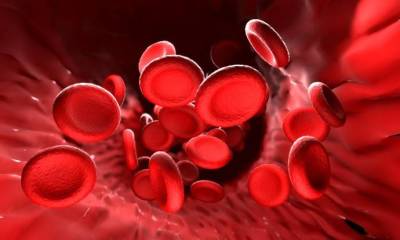 ​Профилактически чистим кровь самыми безопасными способами