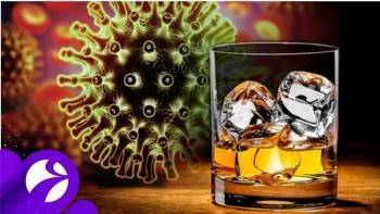 Почему нельзя пить алкоголь после прививки от коронавируса