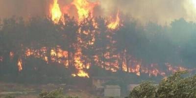 В Турции ливни помогли взять под контроль пожары в районе Антальи