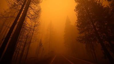 Минимум восемь человек пропали после лесного пожара в Калифорнии