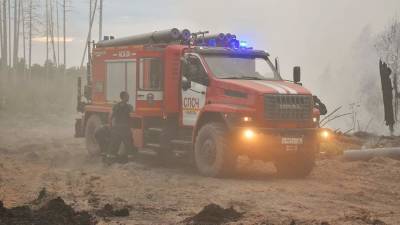 Режим ЧС объявлен в Сарове из-за пожара в Мордовском заповеднике