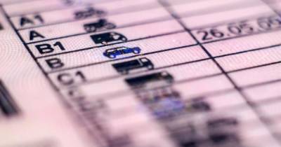 МВД пересмотрит порядок сдачи экзамена на водительские права