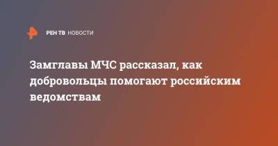 Замглавы МЧС рассказал, как добровольцы помогают российским ведомствам