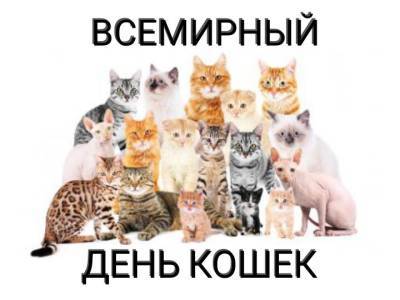 «Не шалю, никого не трогаю, примус починяю» - про тех, у кого лапки, или Всемирный день кошек – Учительская газета