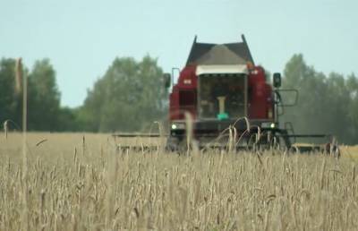 Жатва-2021: приближается к 4,5 млн тонн зерна