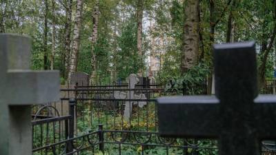 Власти Петербурга ищут "управляющего" для 42 городских кладбищ