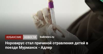 Норовирус стал причиной отравления детей в поезде Мурманск - Адлер
