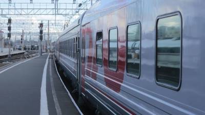 В Роспотребнадзоре назвали причину отравления детей в поезде Мурманск — Адлер