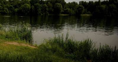В Мадонском крае в озере найден утонувший