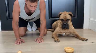 Сладкий забег: кто победит в гонке по поеданию пончиков - человек или пес? (Видео)